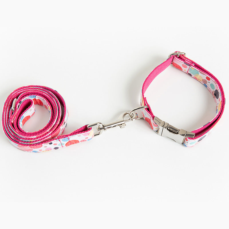 Why Your Pet Deserves the Bubble Pet Collar Leash