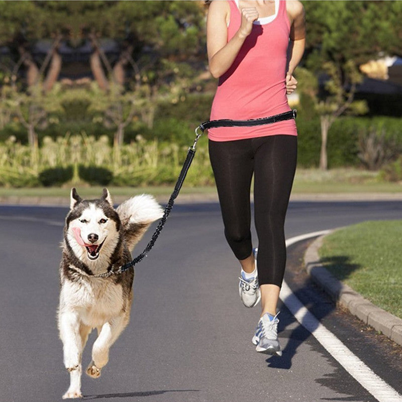 Discover the Ultimate Adjustable Jogging Pet Harness And Leash Set