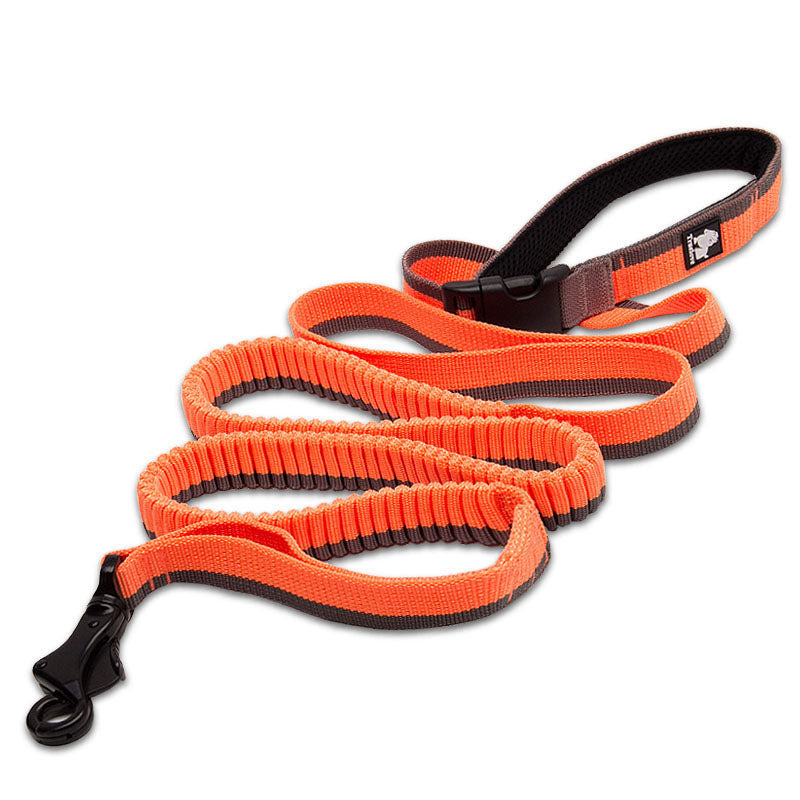 The Ultimate Pet Running Leash for Active Adventures