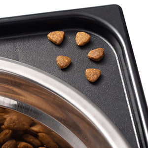 Elevated Pet Feeding Bowl With Neck Support: The Ultimate Solution for Your Furry Friend