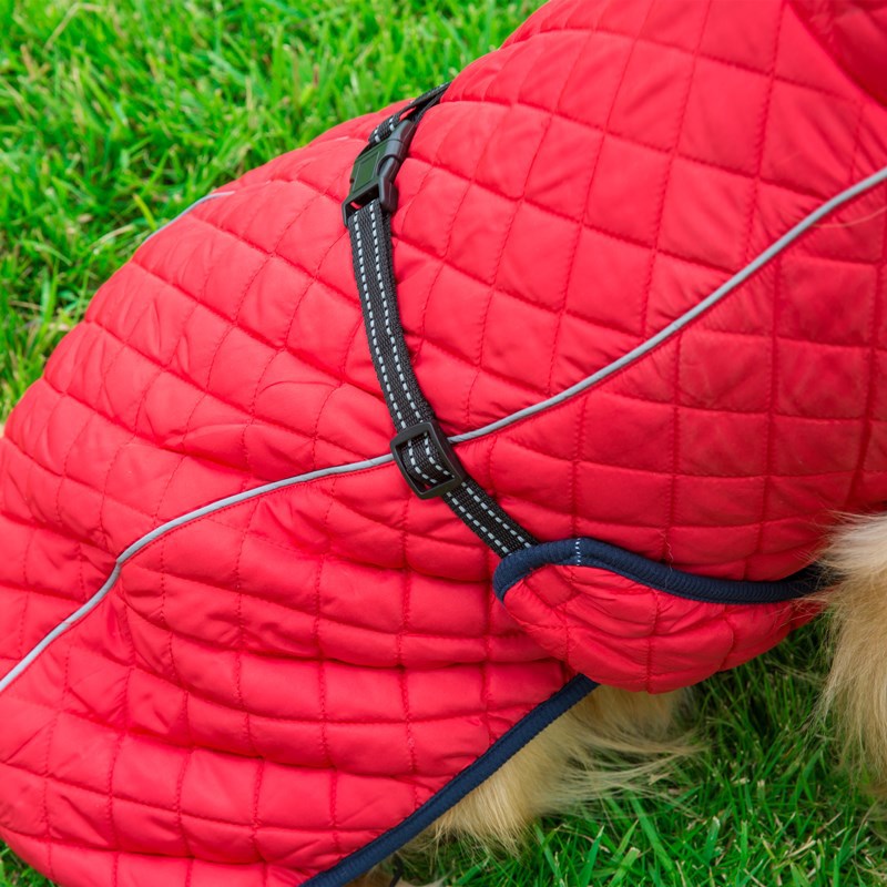 Adjustable Warm Pet Cotton Jacket: Perfect for Your Furry Friends
