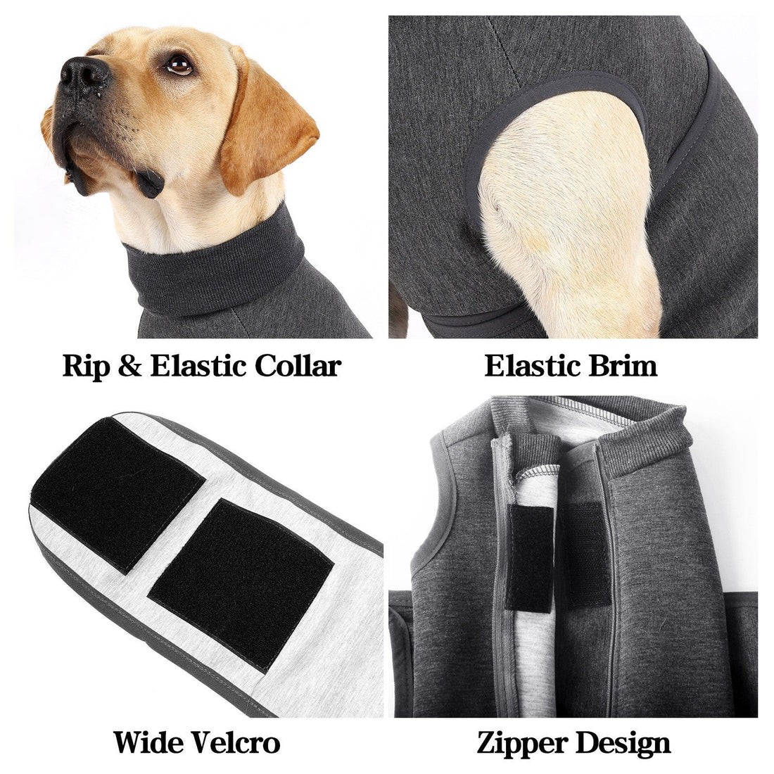 Polyester Pet Comfort Double Jacket: Elevate Your Pet's Comfort