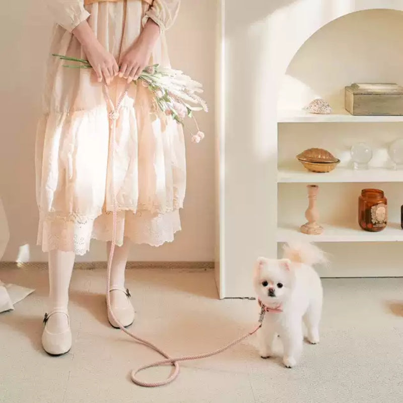 Stylish and Functional: The Leather Pet Collar Handheld Leash Set